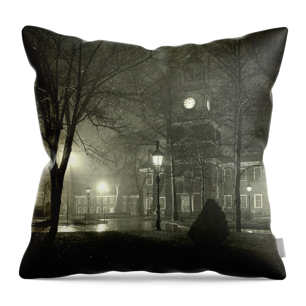 Independence Square Throw Pillow featuring the photograph Independence Square, 1899 by Unknown