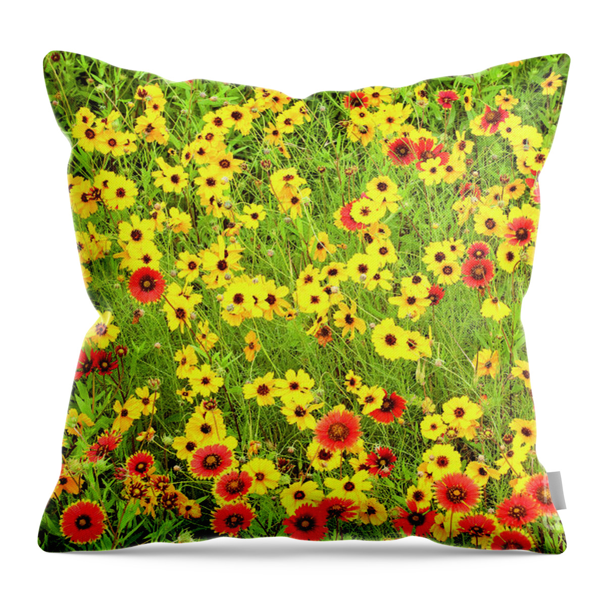 Dave Welling Throw Pillow featuring the photograph Indian Blanketflowers And Coreopsis Texas by Dave Welling