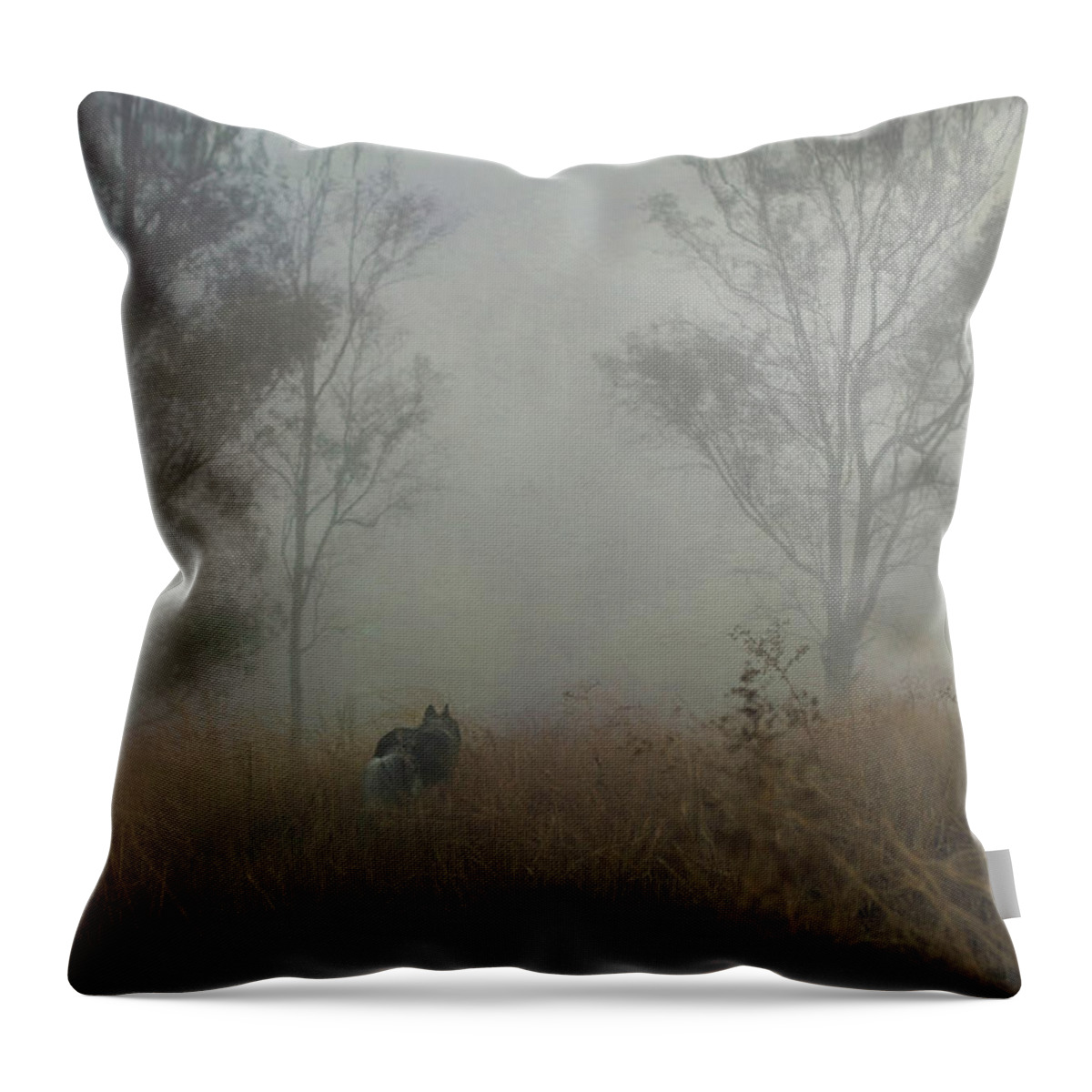 Fog Throw Pillow featuring the digital art Into the Mist by Nicole Wilde