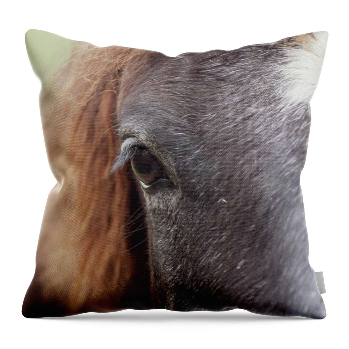 Horse Throw Pillow featuring the photograph Into the Soul by Holly Ross
