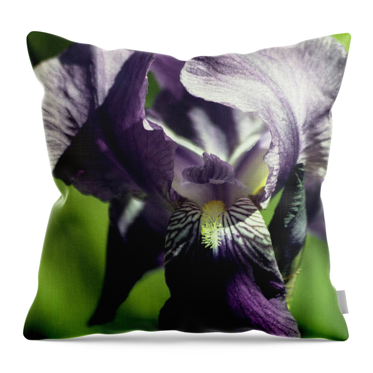 Arizona Throw Pillow featuring the photograph Into the World of the Iris by Kathy McClure