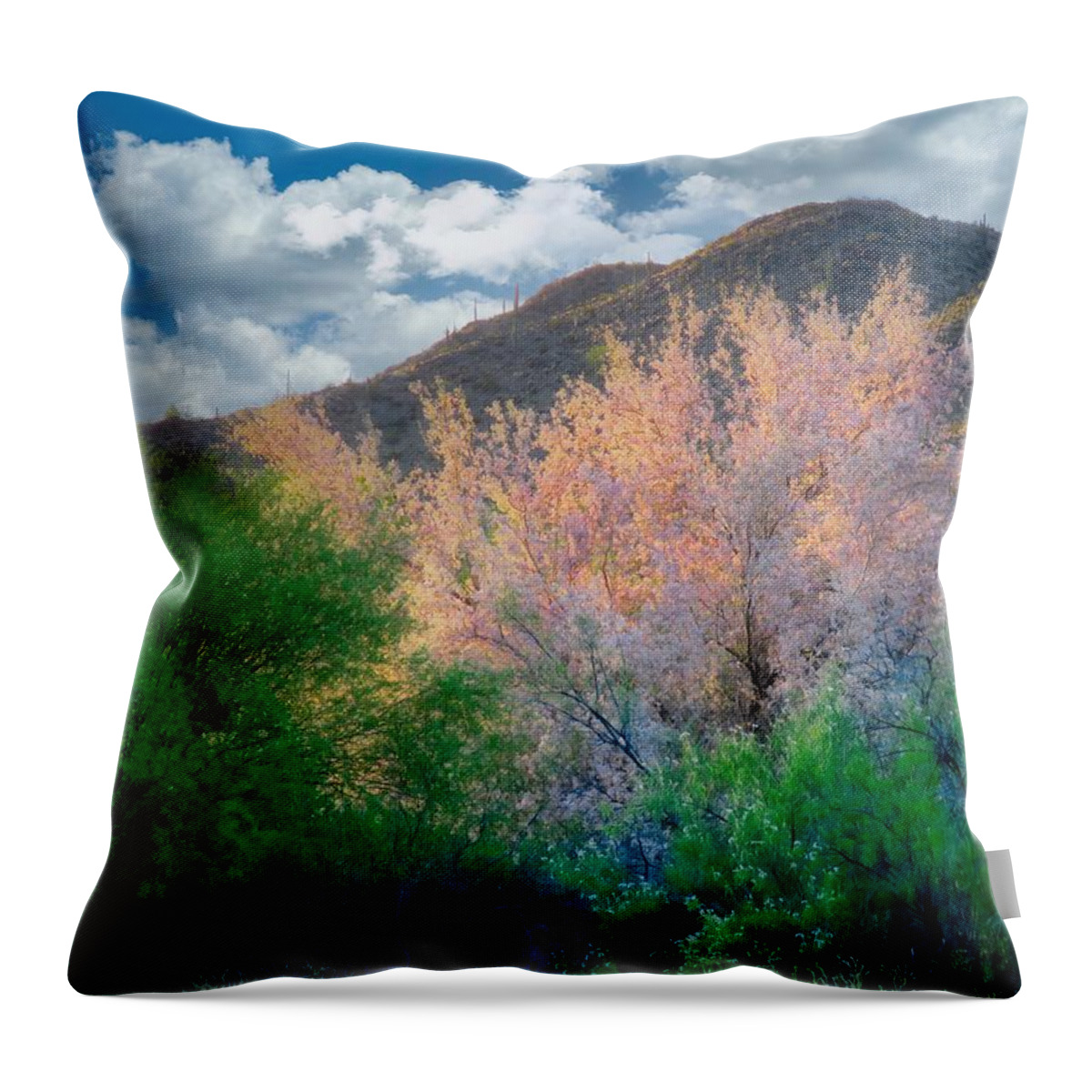 Waywardmuse Throw Pillow featuring the photograph Ironwood Flame by Judy Kennedy