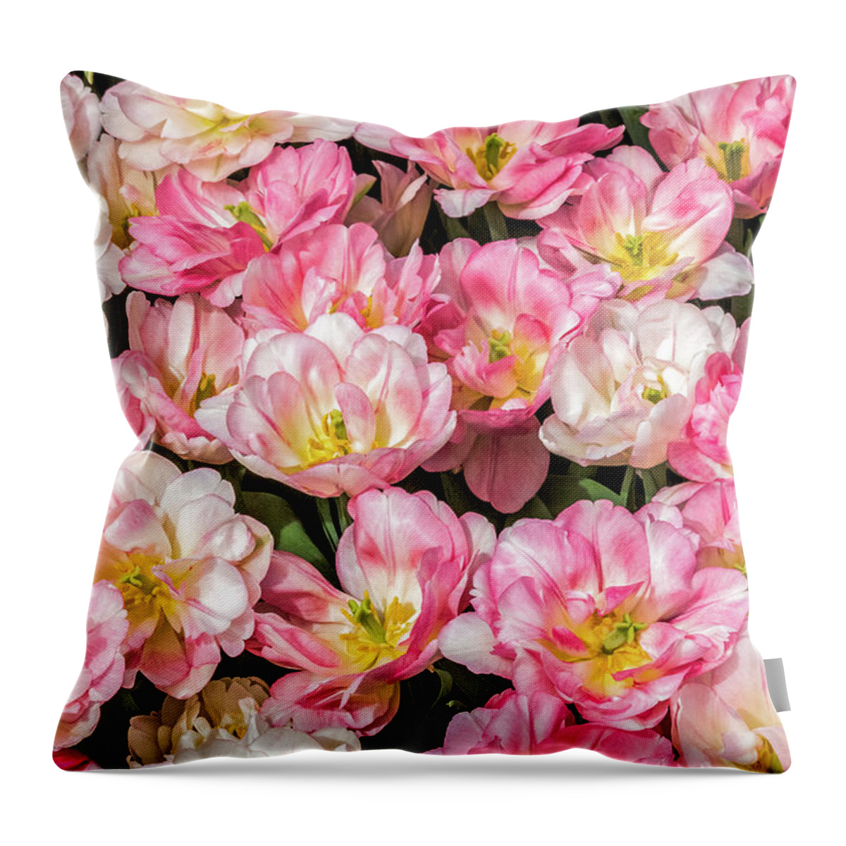 Tulips Throw Pillow featuring the photograph Irresistible Peach Blossom Tulips by Elvira Peretsman