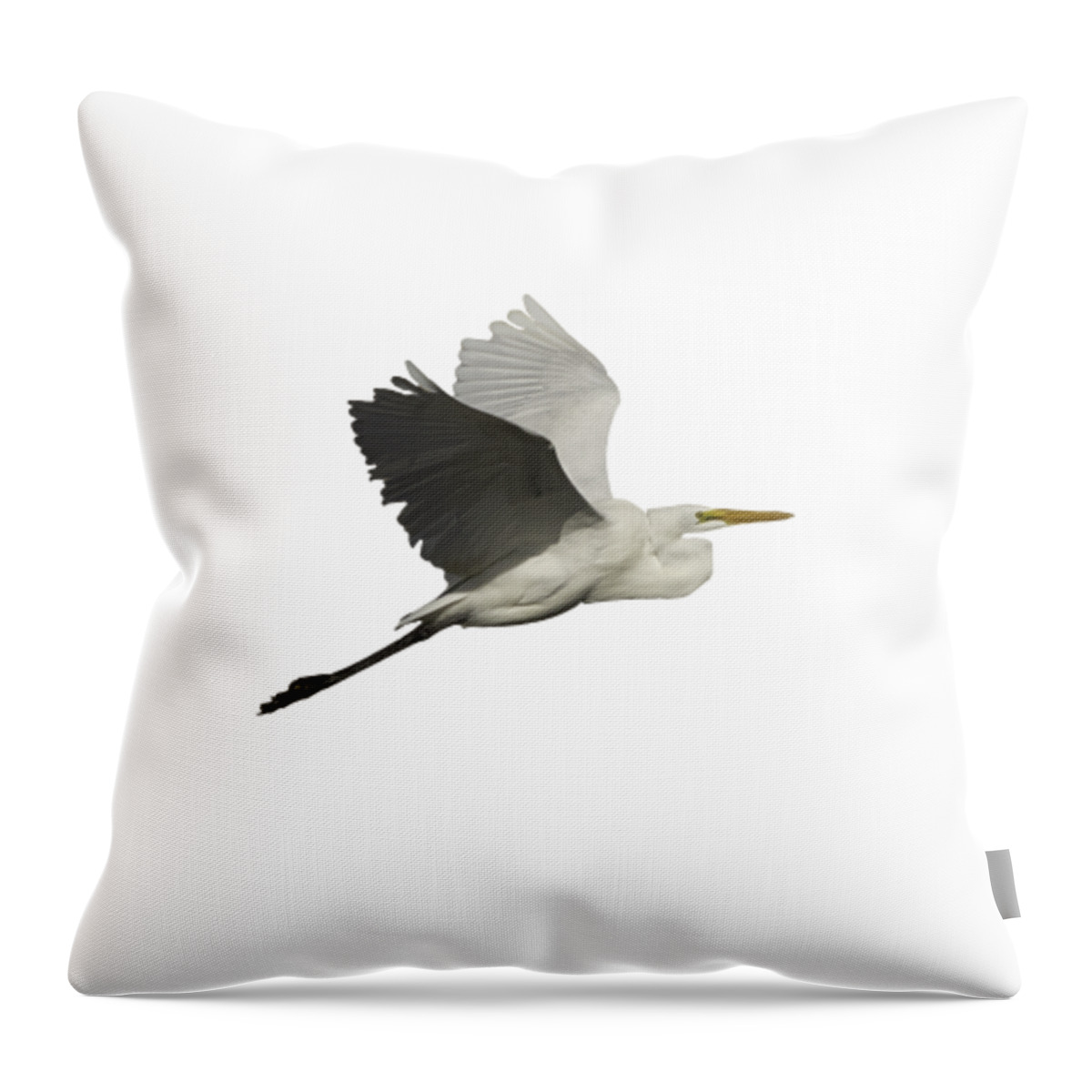 Great Egret Throw Pillow featuring the photograph Isolated Great Egret 2016 by Thomas Young