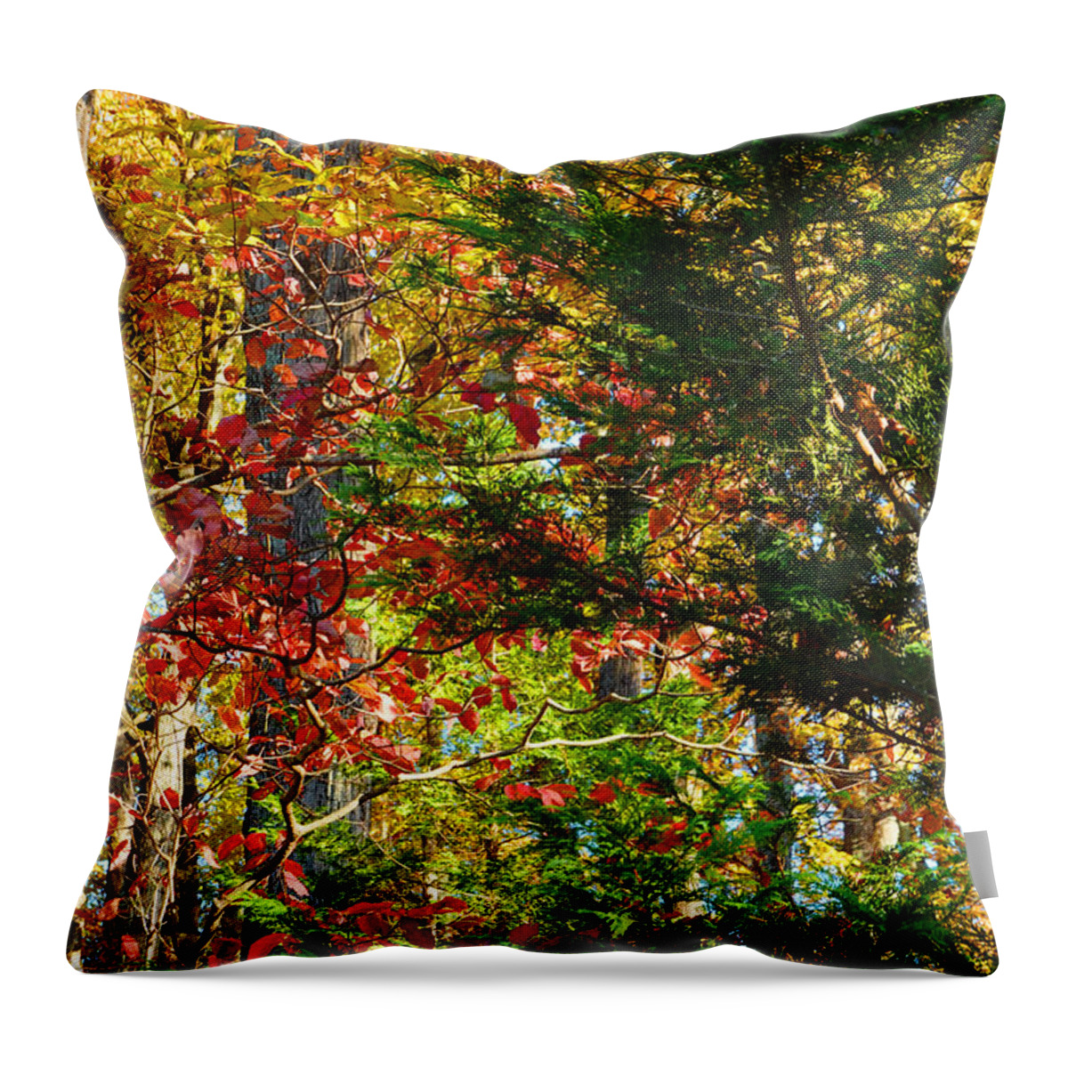Colorful Throw Pillow featuring the photograph It's So Easy Being Green - A Piedmont Autumn Impression by Steve Ember