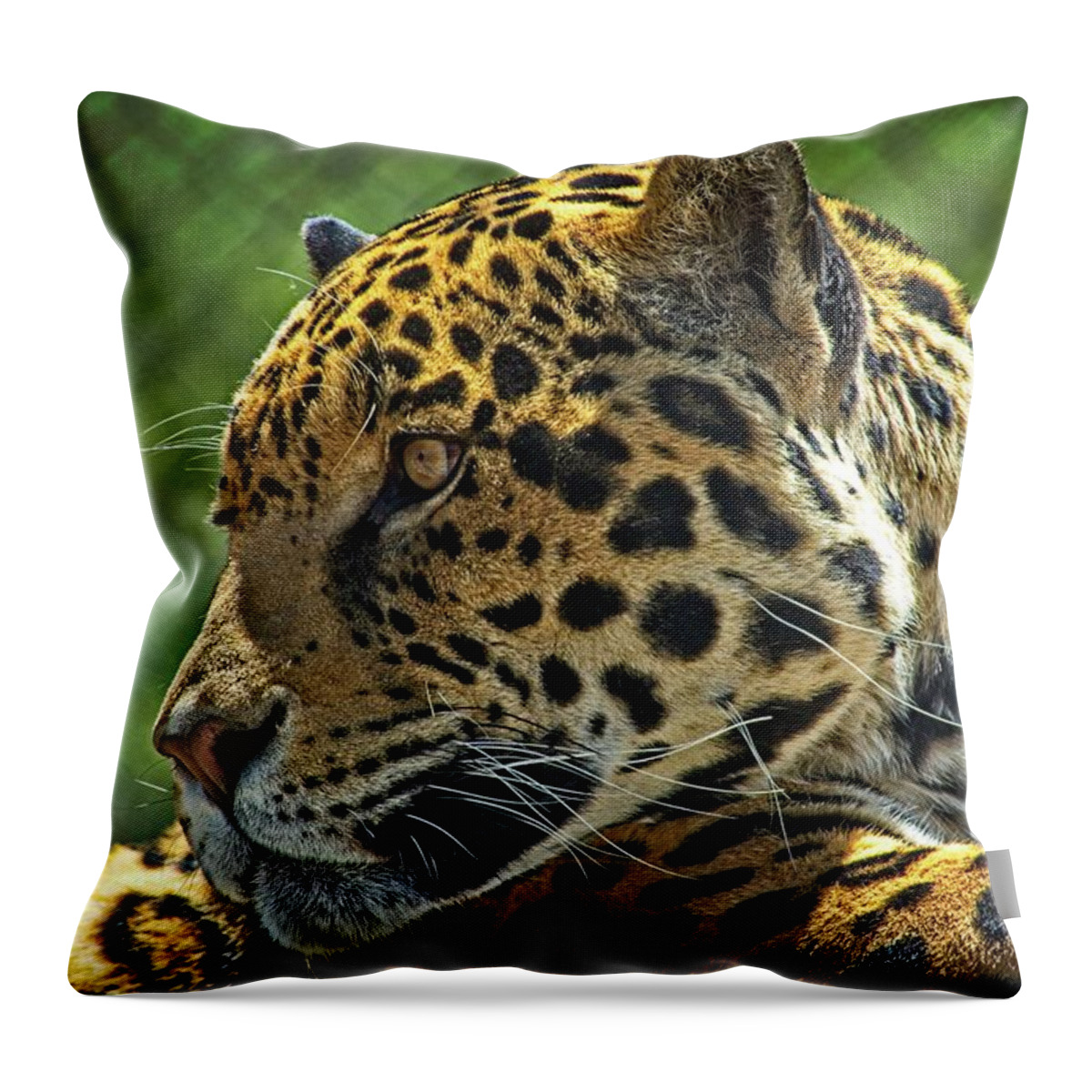 Mammal Throw Pillow featuring the photograph Jaguar Profile by David Desautel