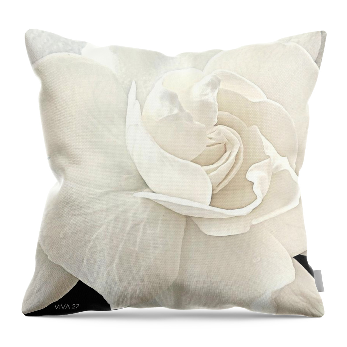 Gardenia Throw Pillow featuring the photograph Jane's Gardenia by VIVA Anderson