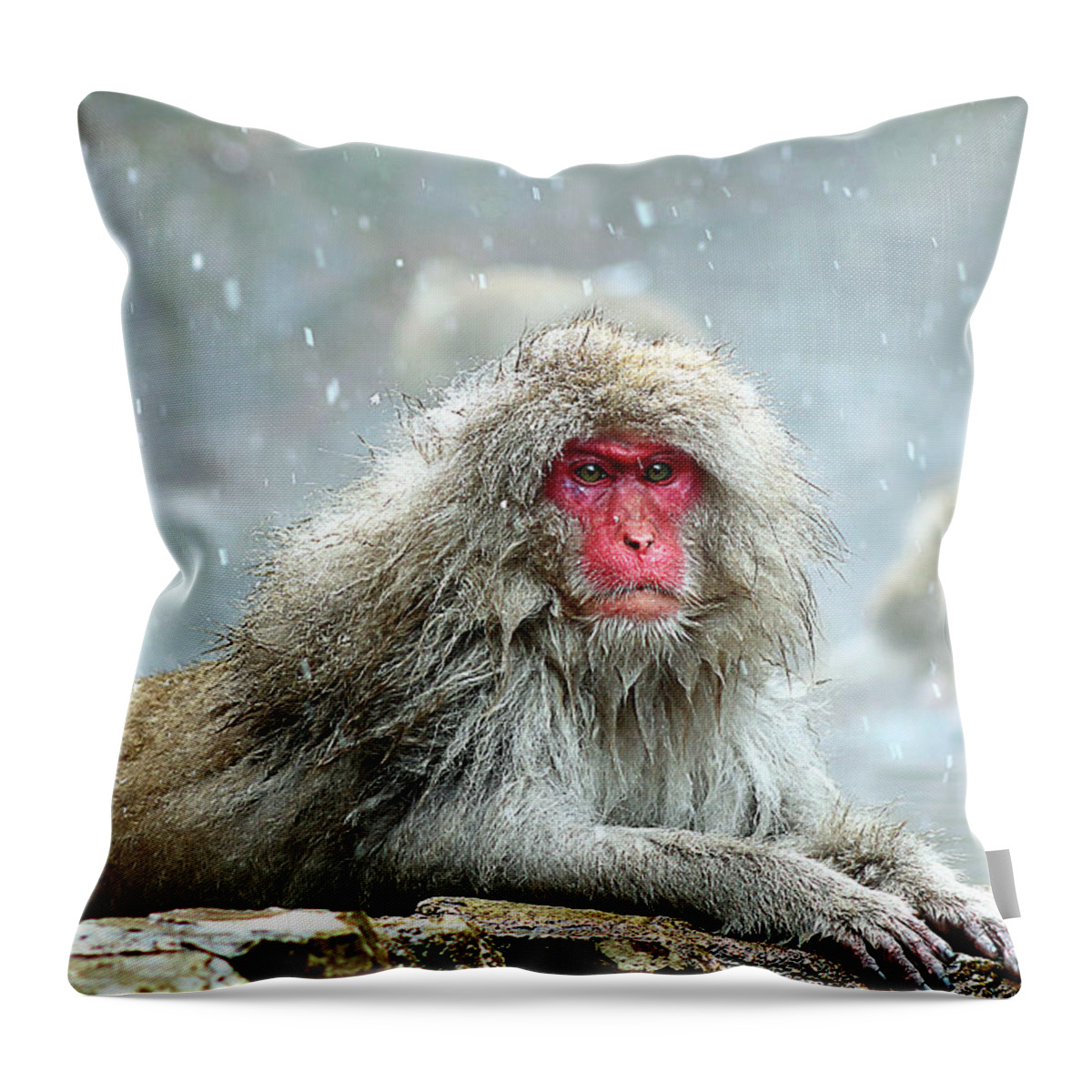  Throw Pillow featuring the photograph Japan 48 by Eric Pengelly