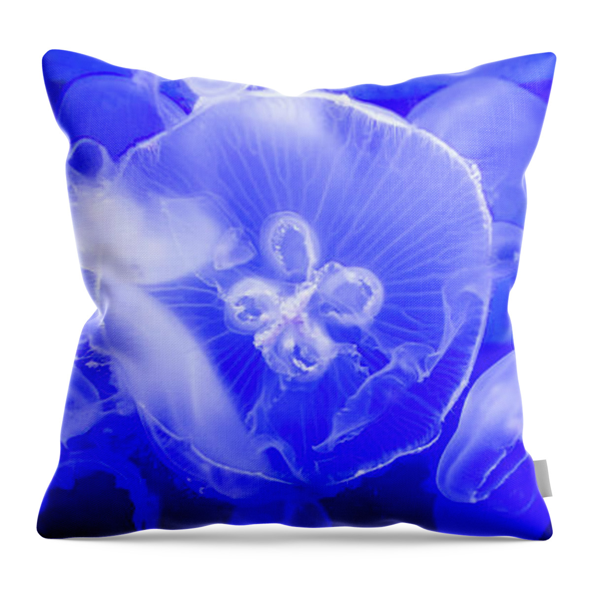 Jelly Throw Pillow featuring the photograph Jellyfish in the Water by Beachtown Views