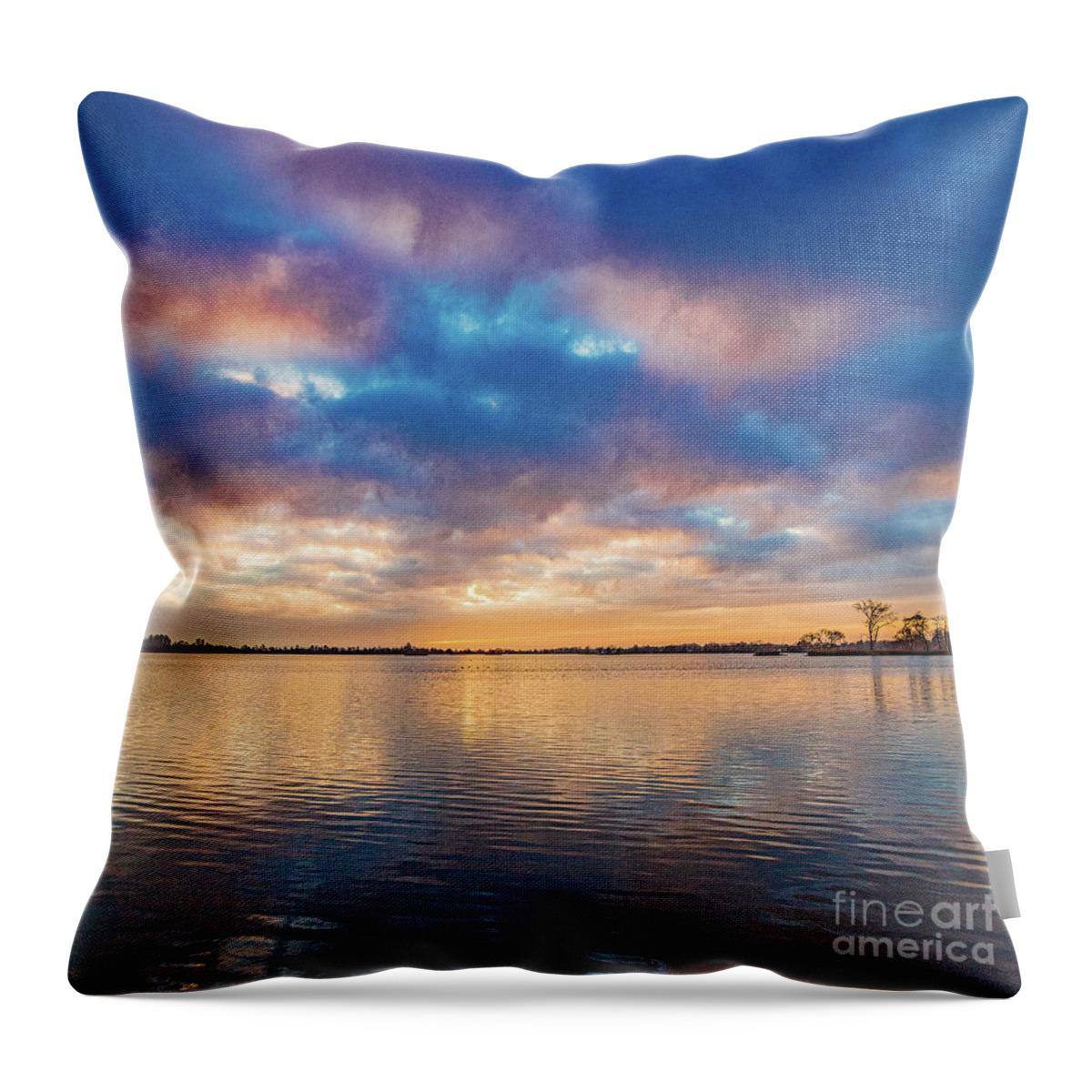 Elfhoevenplas Throw Pillow featuring the photograph Joyful dawn by Casper Cammeraat