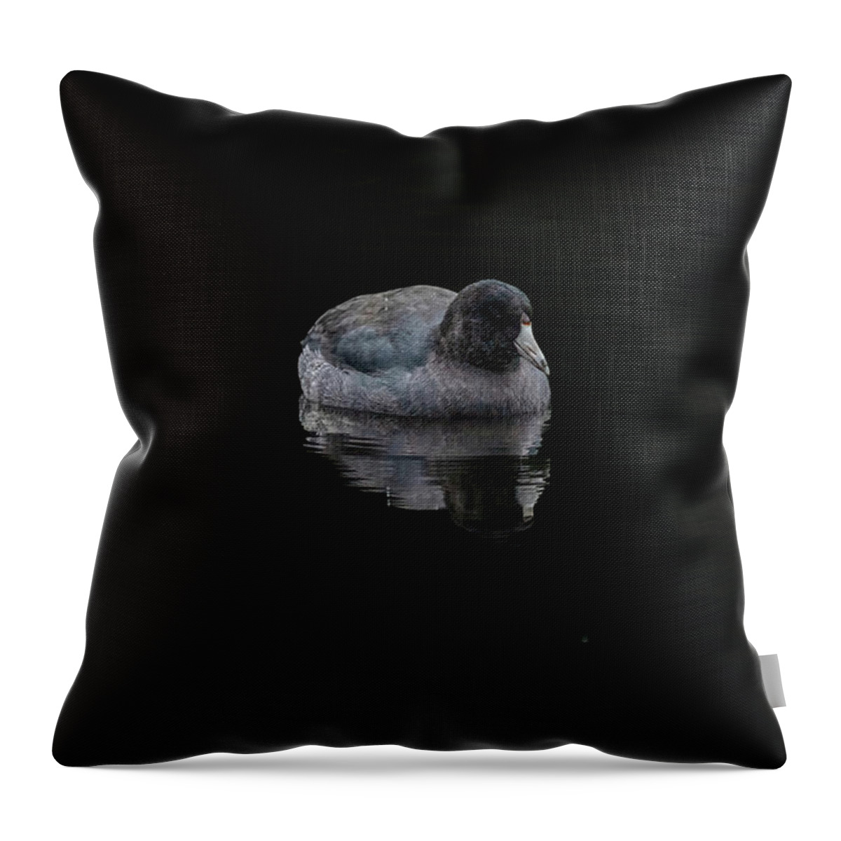 Mudhen Throw Pillow featuring the photograph Just a Coot by Jerry Cahill
