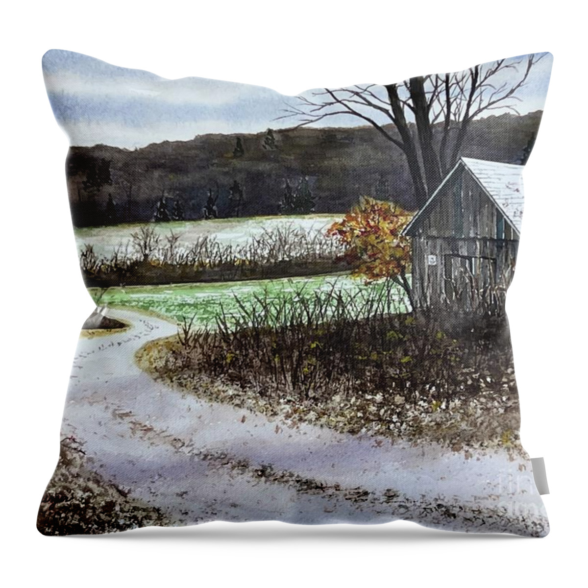 Shed Throw Pillow featuring the painting Just a Dusting by Joseph Burger
