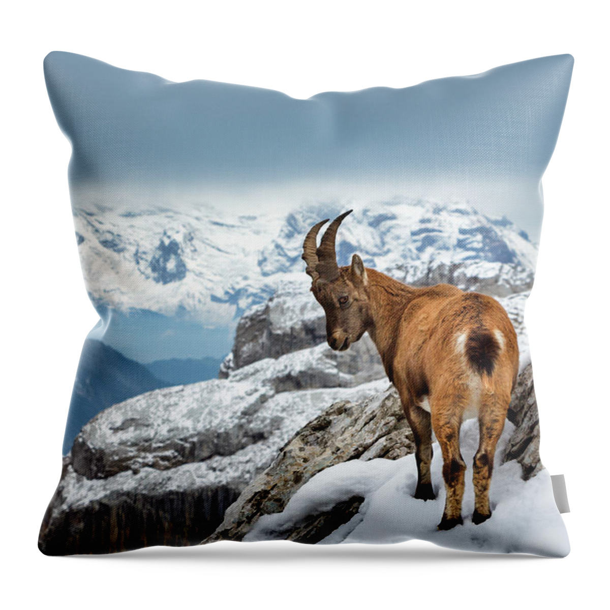 Nature Throw Pillow featuring the photograph Just Goating Around by Rick Deacon