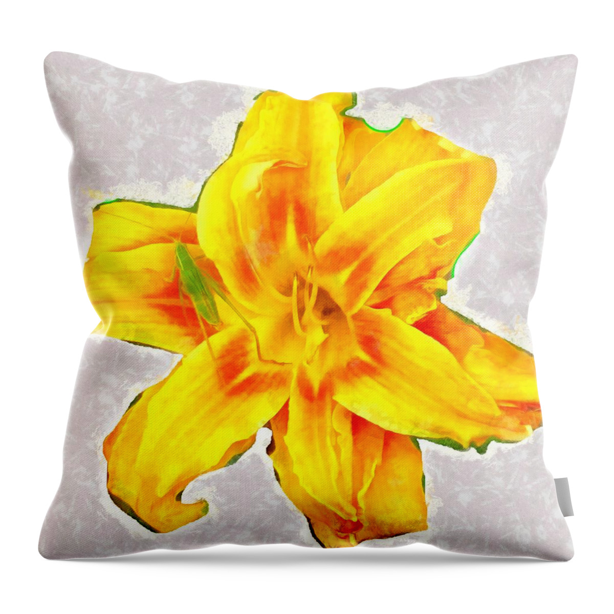 Katydid Throw Pillow featuring the mixed media Katydid on Daylily by Christopher Reed
