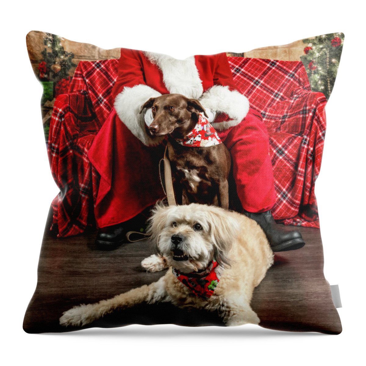 Annie Throw Pillow featuring the photograph Kellie and Annie with Santa 2 by Christopher Holmes