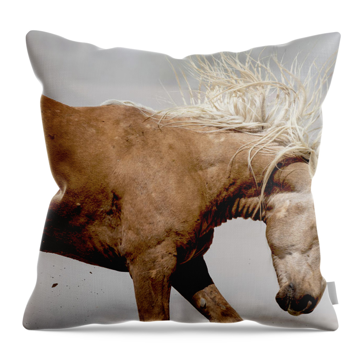 Wild Horse Throw Pillow featuring the photograph Kick by Mary Hone