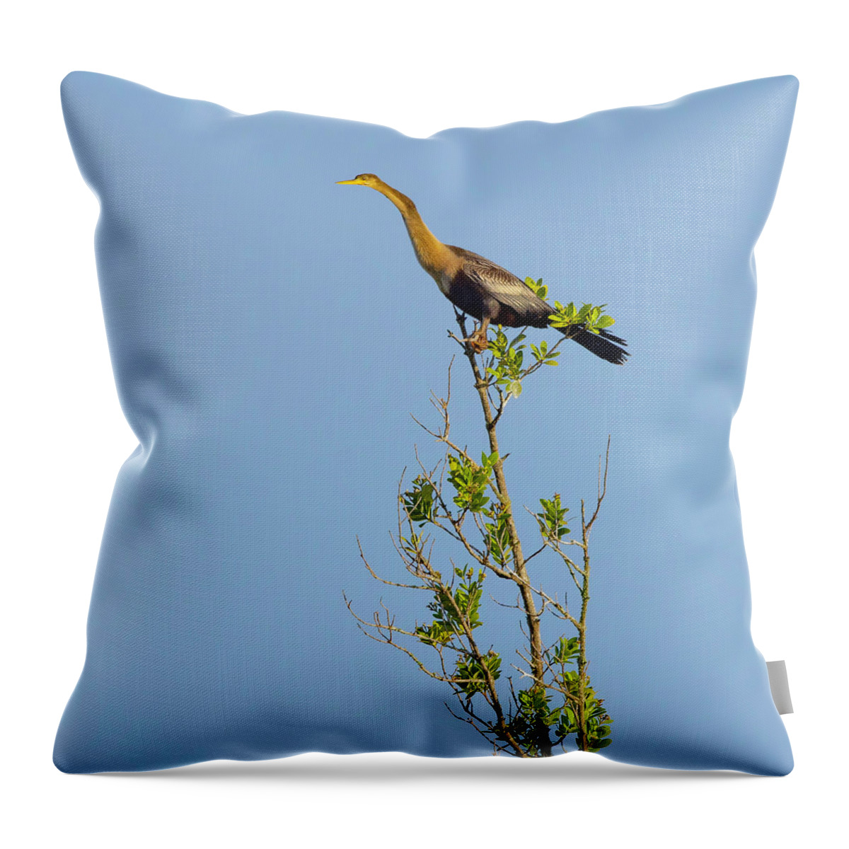 R5-2630 Throw Pillow featuring the photograph King of the Marsh by Gordon Elwell