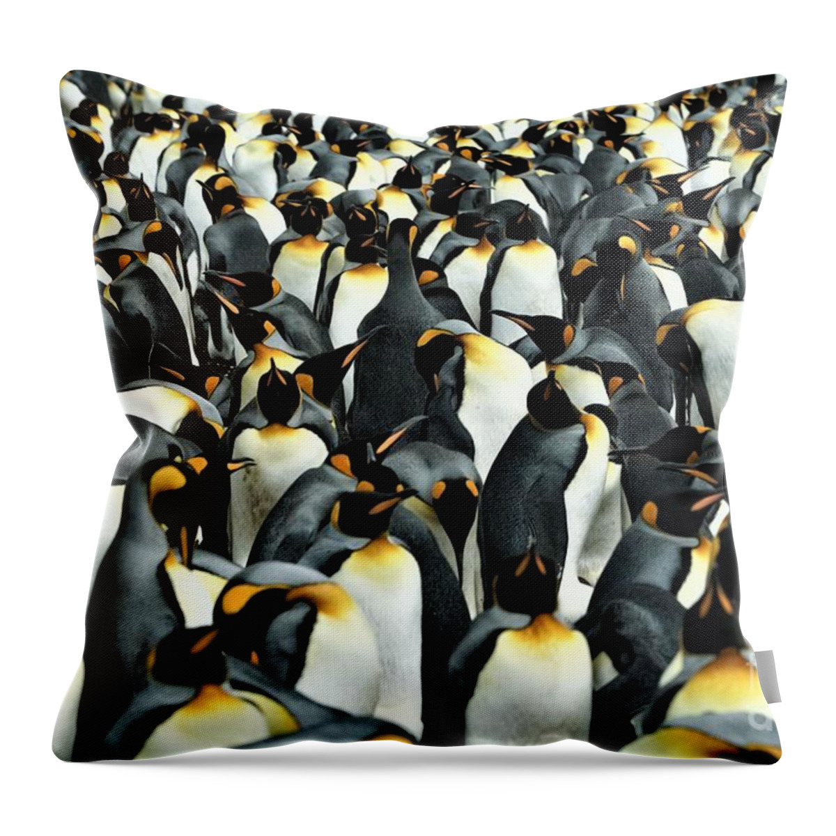 Penguins Throw Pillow featuring the photograph Kings of the Falklands by Darcy Dietrich