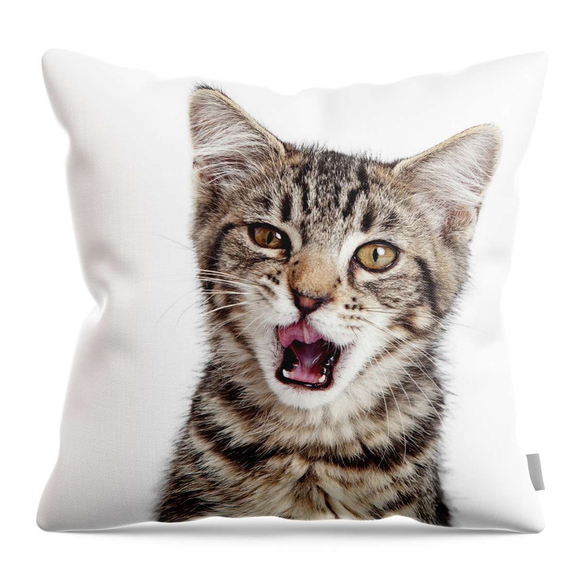 Adorable Throw Pillow featuring the photograph Kitten Hungry Mouth Open Wide by Good Focused