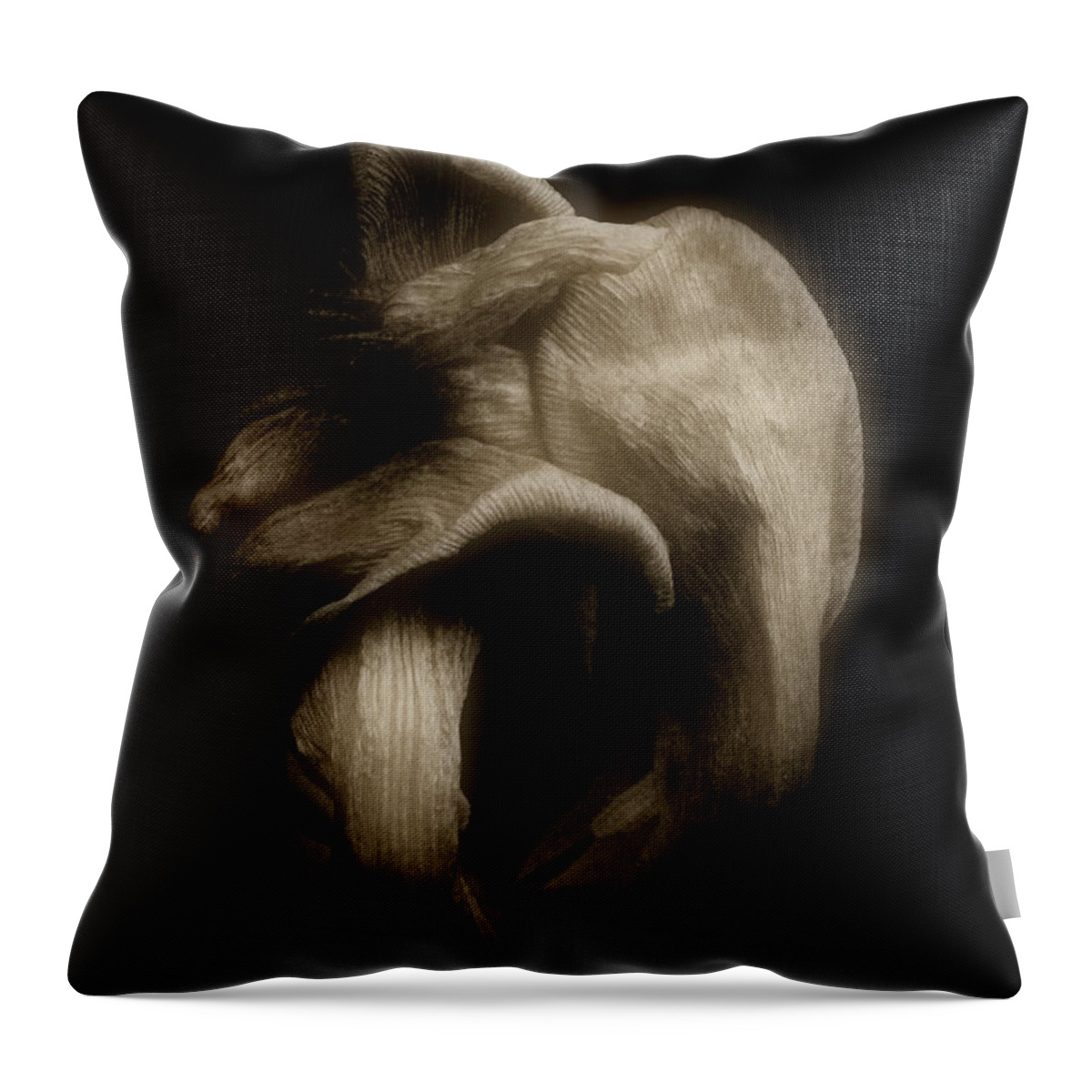 Tulip Throw Pillow featuring the photograph Knot by Cynthia Dickinson