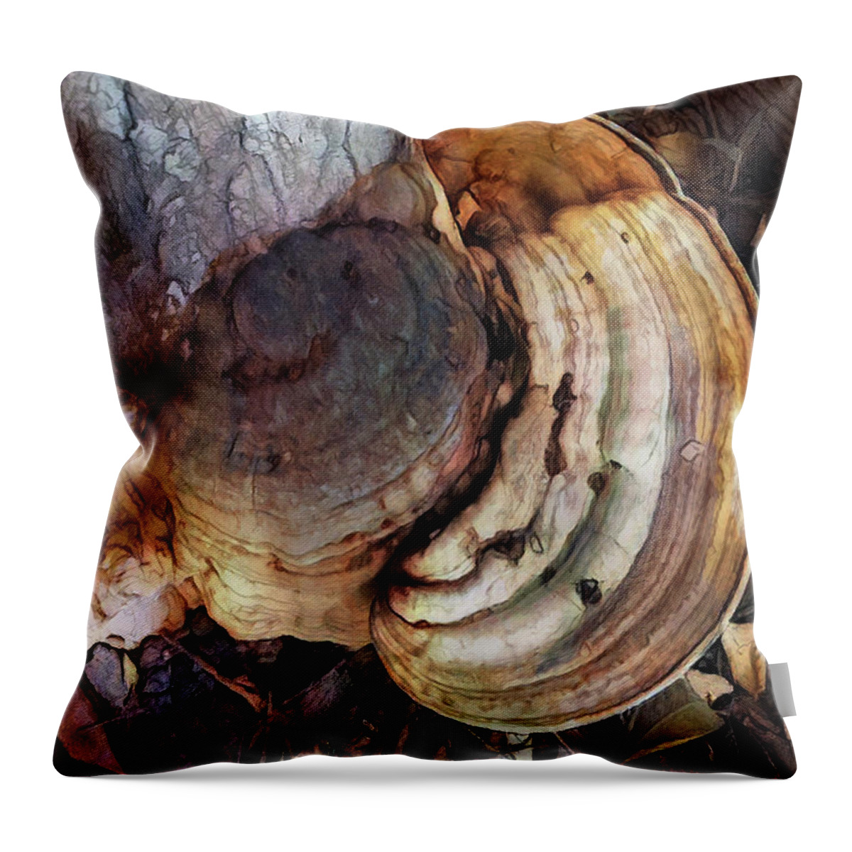 Photo Throw Pillow featuring the photograph Rings Of Fungi by Tim Nyberg