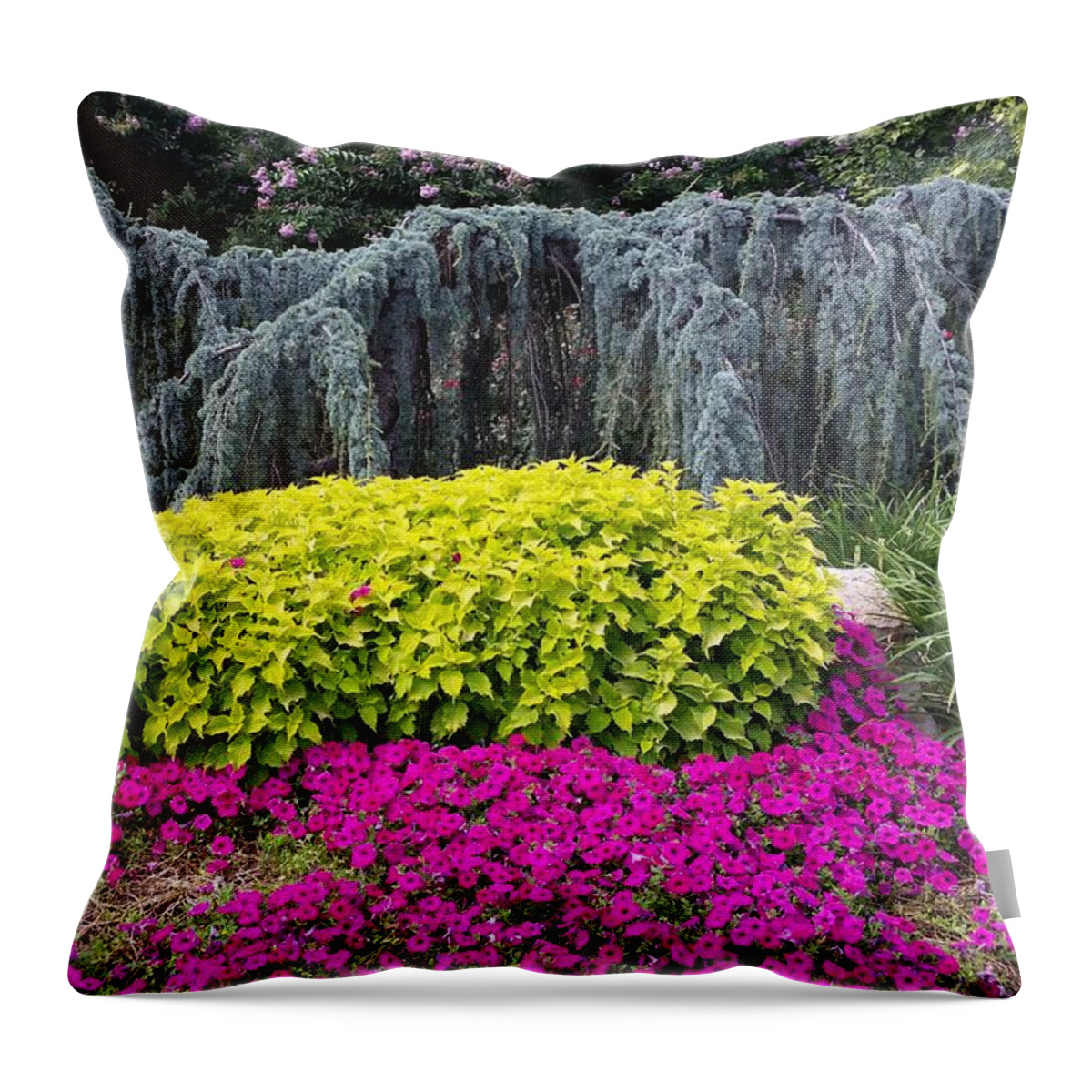Landscape Throw Pillow featuring the photograph Landscape Elegance by Nancy Ayanna Wyatt