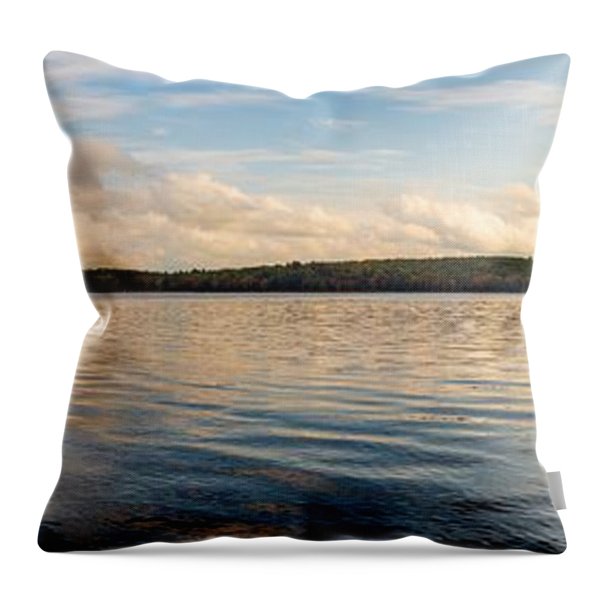 Panorama Throw Pillow featuring the photograph Landscape Photography - Shohola Lake by Amelia Pearn