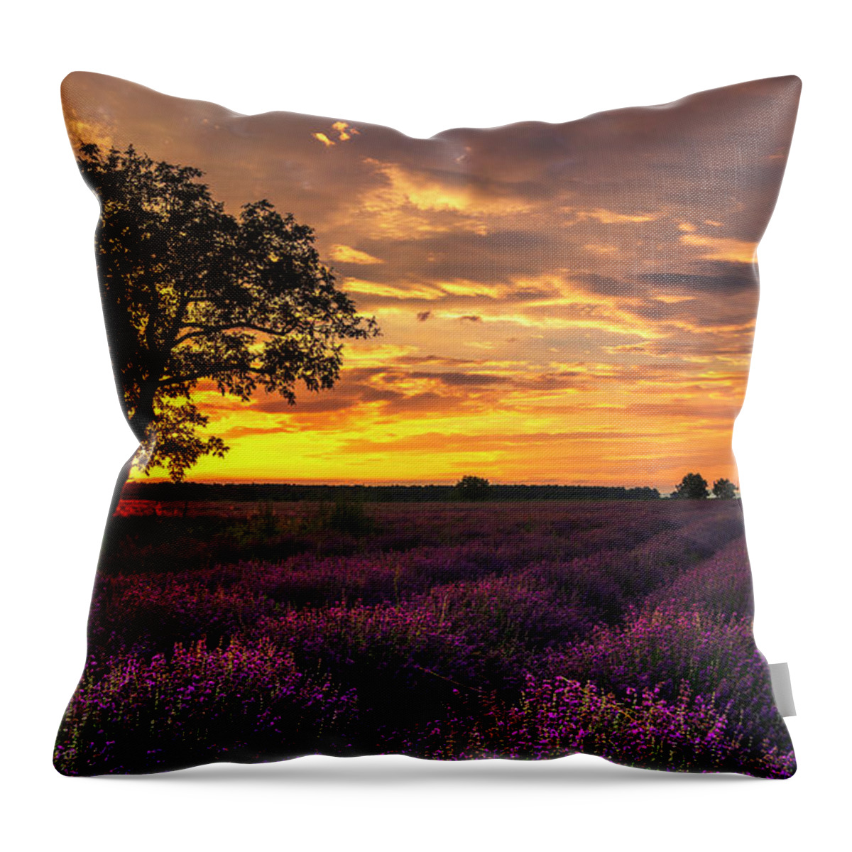 Bulgaria Throw Pillow featuring the photograph Lavender Sunrise by Evgeni Dinev