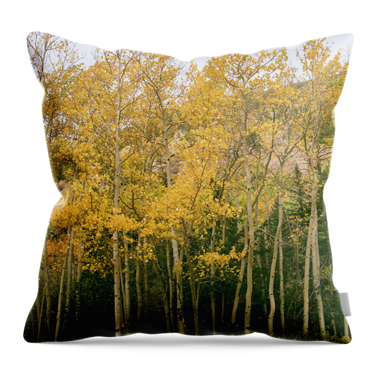 Colorado Throw Pillow featuring the photograph Layers of Yellow by Ana V Ramirez