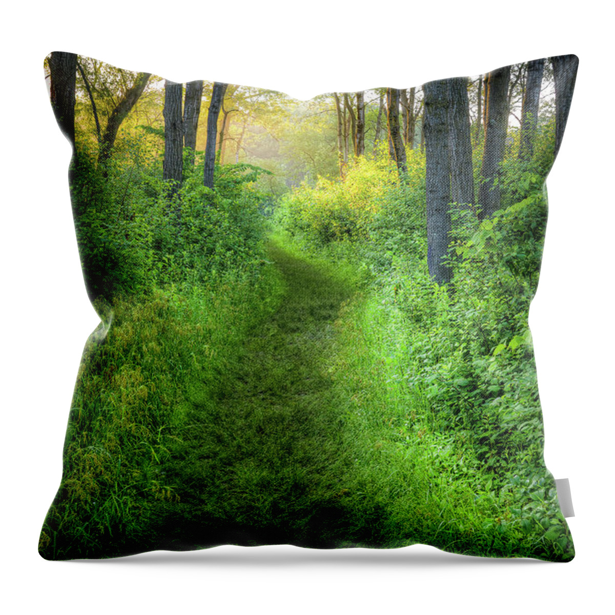 Path Throw Pillow featuring the photograph Lead the Way by Brad Bellisle