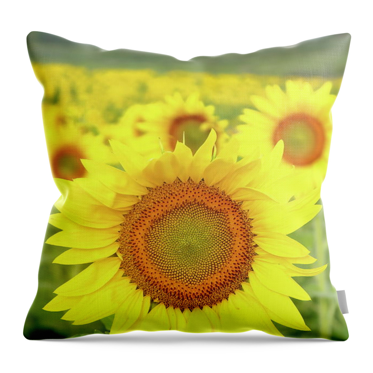 Sunflower Throw Pillow featuring the photograph Leader Of The Pack by Lens Art Photography By Larry Trager
