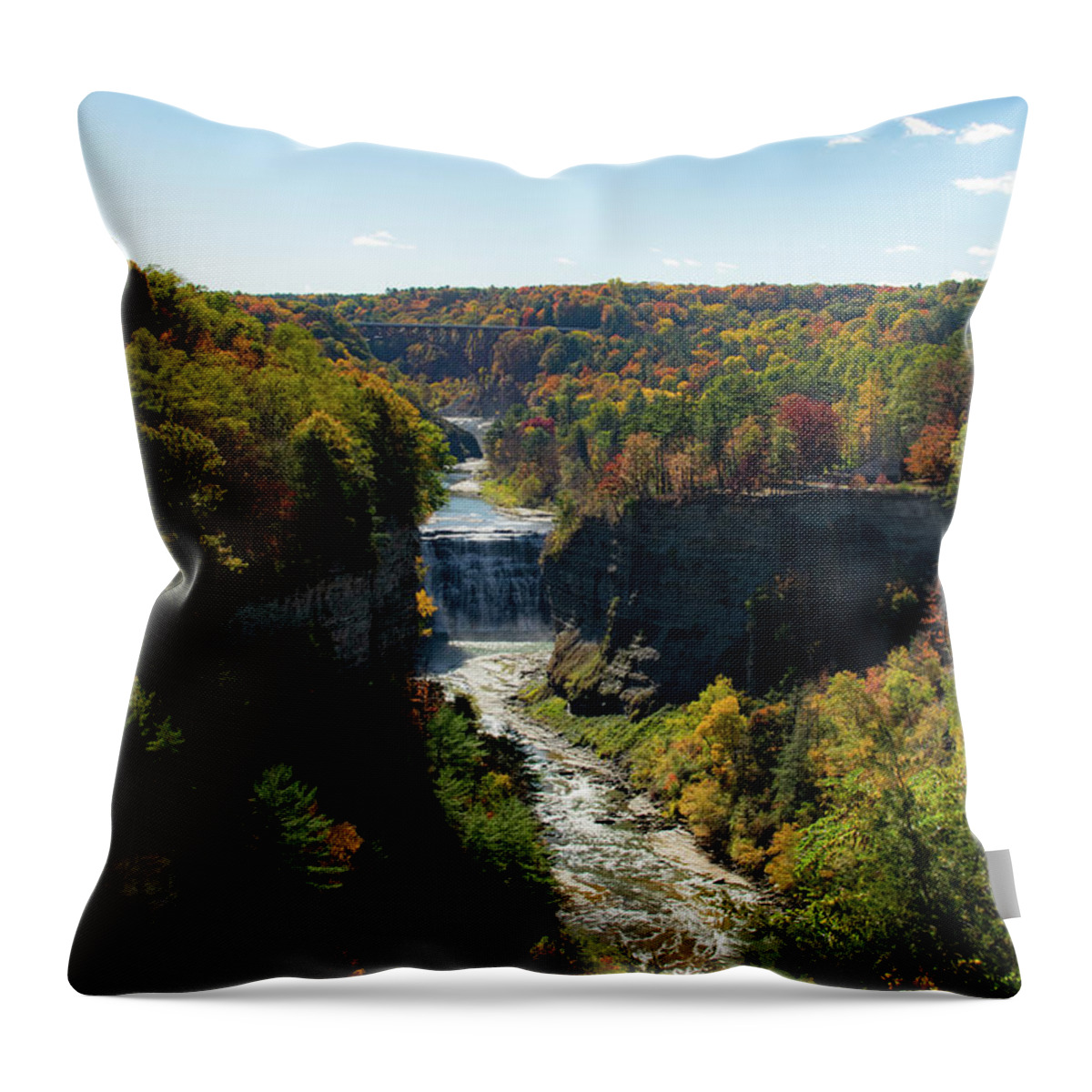 Nature Throw Pillow featuring the photograph Letchworth State Park by Nicole Lloyd