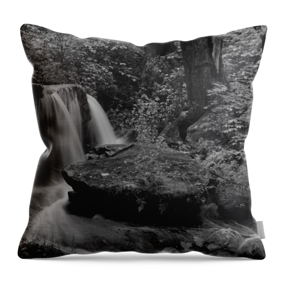  Throw Pillow featuring the photograph Liberty Park by Brad Nellis