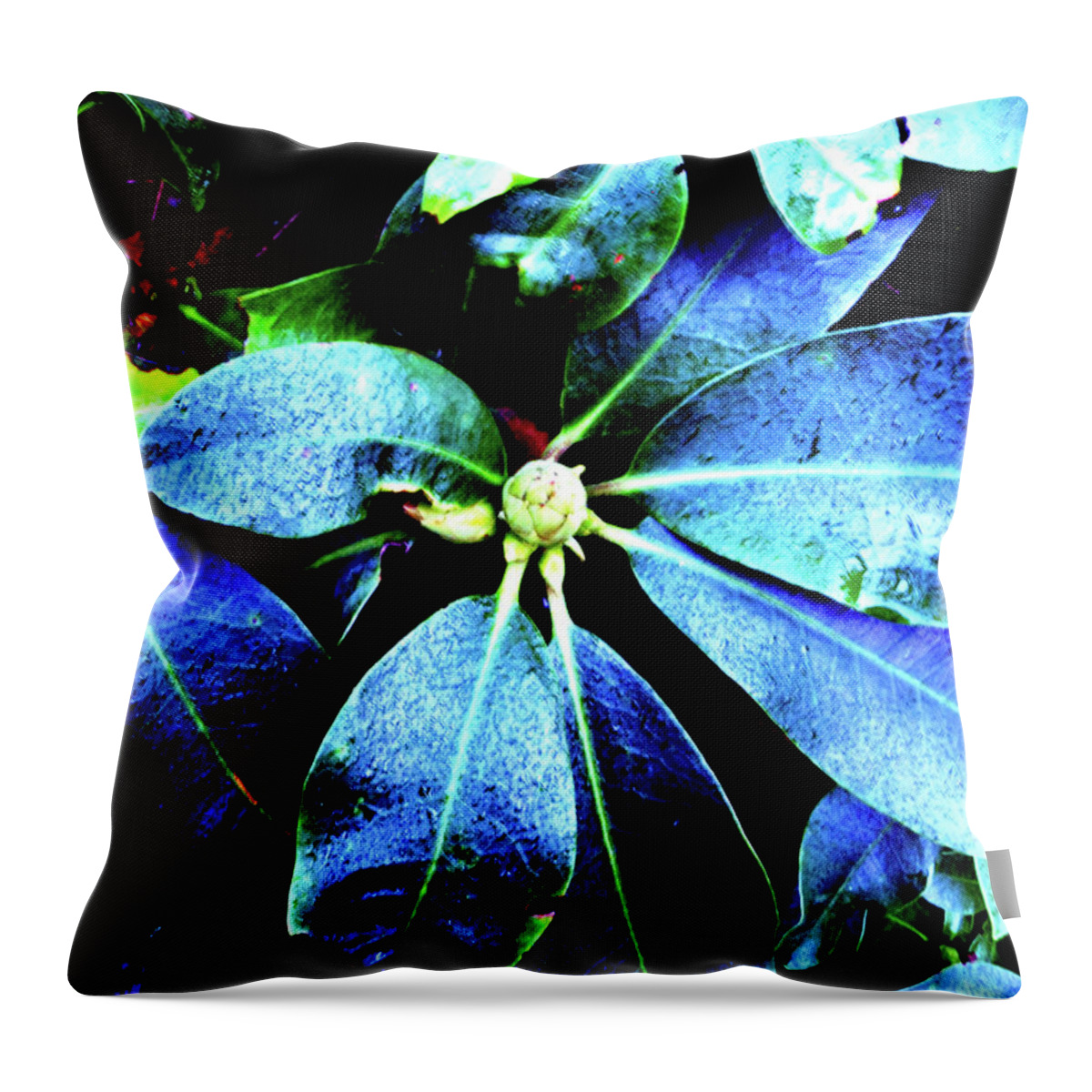 Abstract Throw Pillow featuring the photograph Life Revisited by Chriss Pagani