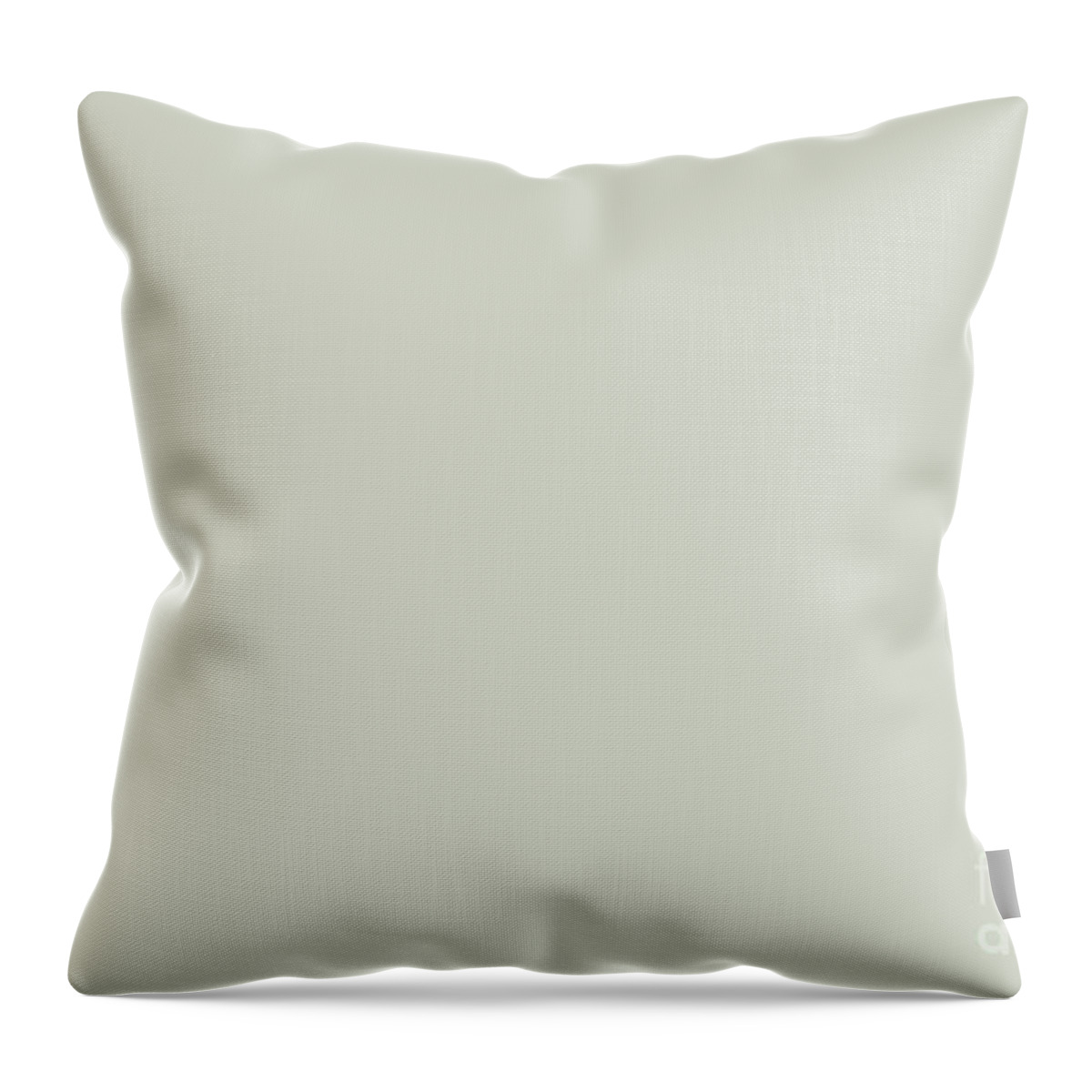 https://render.fineartamerica.com/images/rendered/default/throw-pillow/images/artworkimages/medium/3/light-pastel-gray-green-solid-color-petite-patterns.jpg?&targetx=-119&targety=0&imagewidth=718&imageheight=479&modelwidth=479&modelheight=479&backgroundcolor=D1D5C7&orientation=0&producttype=throwpillow-14-14