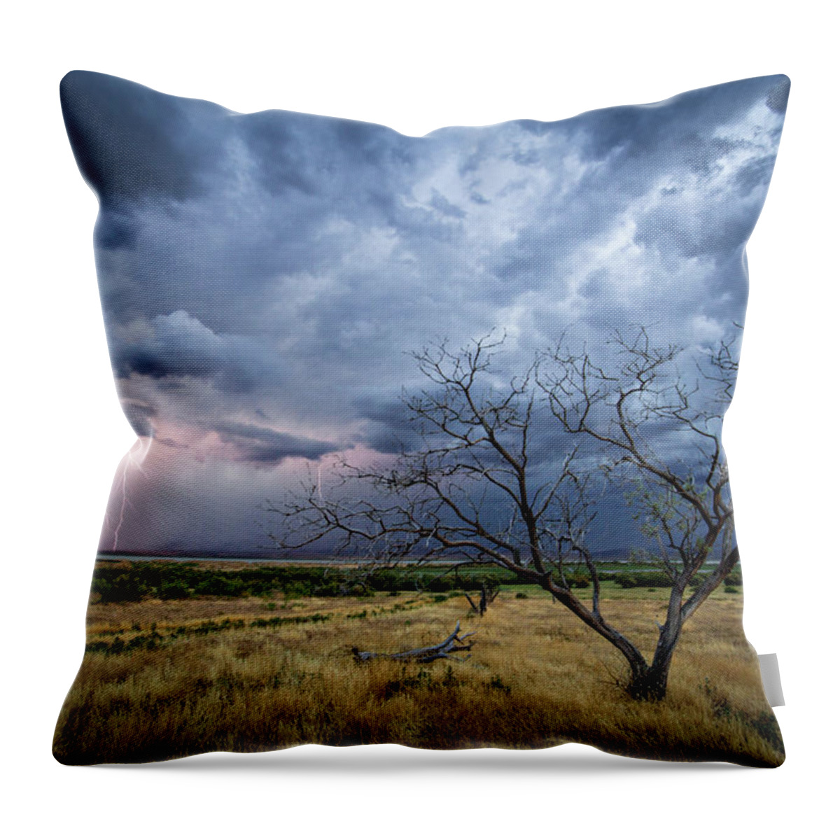 Storm Throw Pillow featuring the photograph Lightning Strike with Tree by Wesley Aston