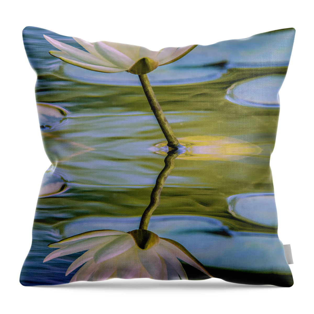Flower Throw Pillow featuring the photograph Lily Reflection by Cathy Kovarik
