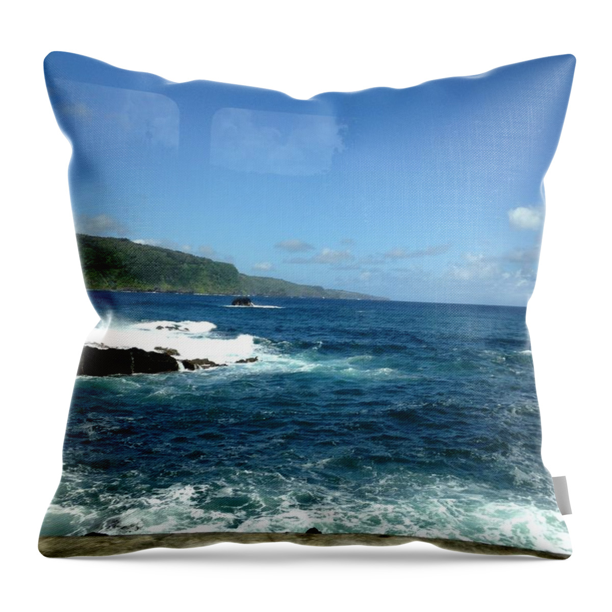  Throw Pillow featuring the painting Lisloffinna 3 by Trevor A Smith