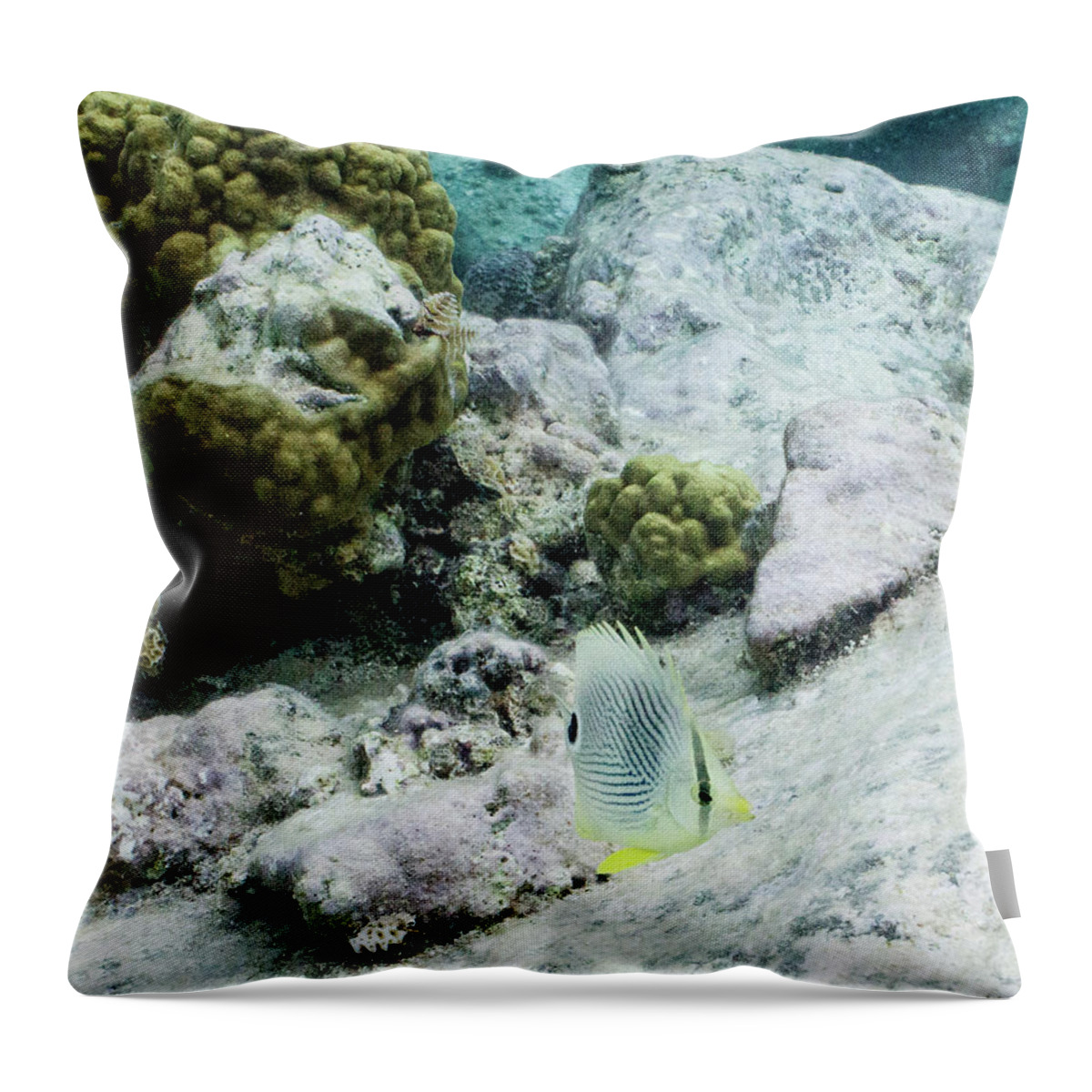 Animals Throw Pillow featuring the photograph Little Bit by Lynne Browne