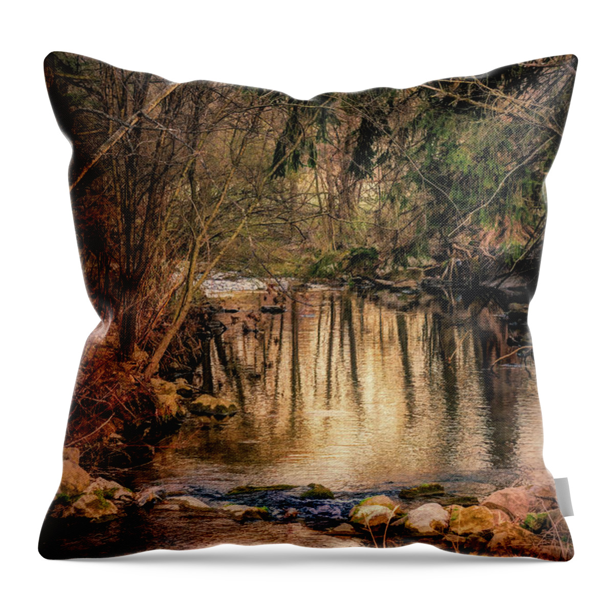 Little Cedar Creek Throw Pillow featuring the mixed media Little Cedar Creek Oil by Jason Fink