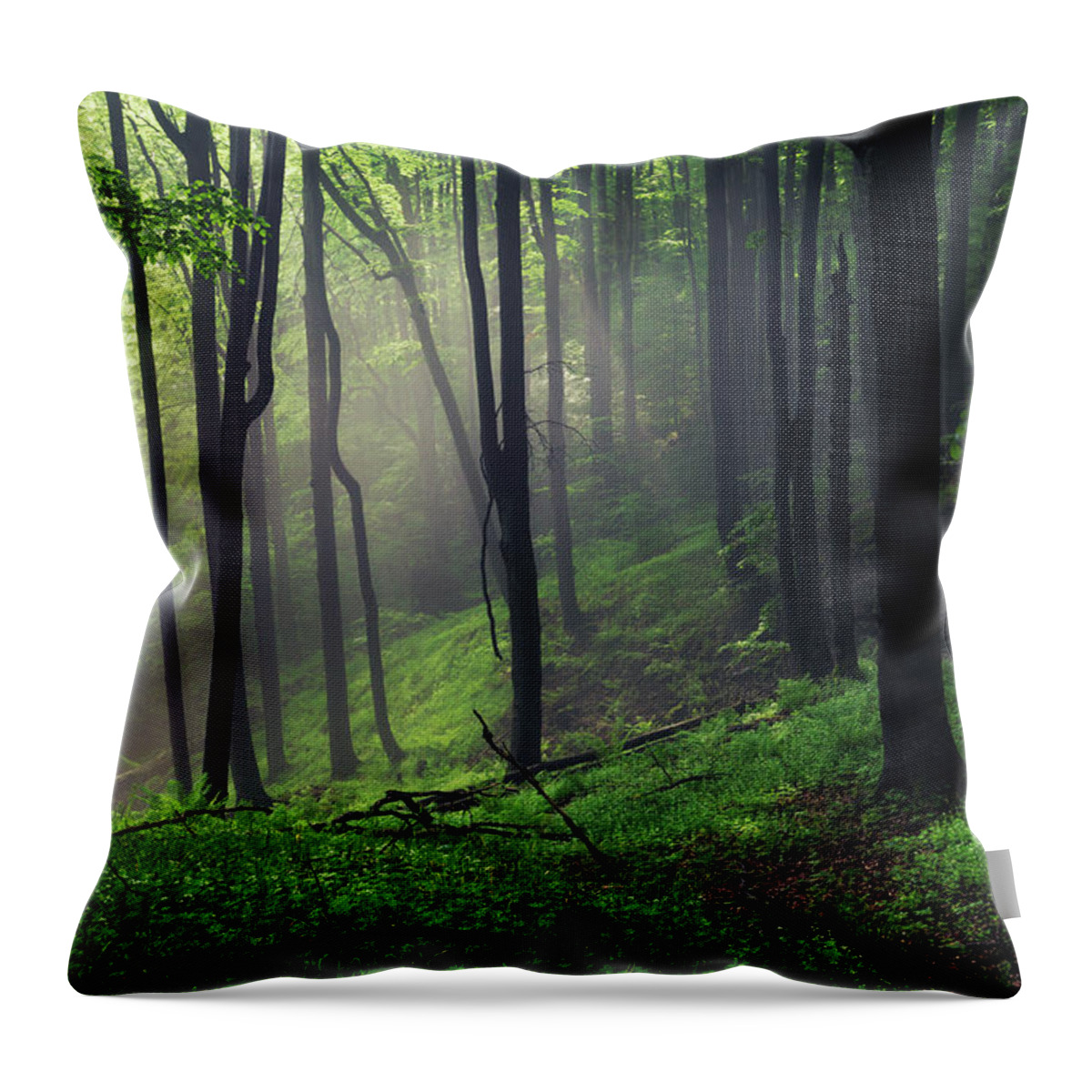 Mist Throw Pillow featuring the photograph Living Forest by Evgeni Dinev