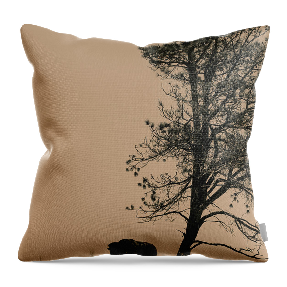 Bison Throw Pillow featuring the photograph Lone Bison by Larry Bohlin