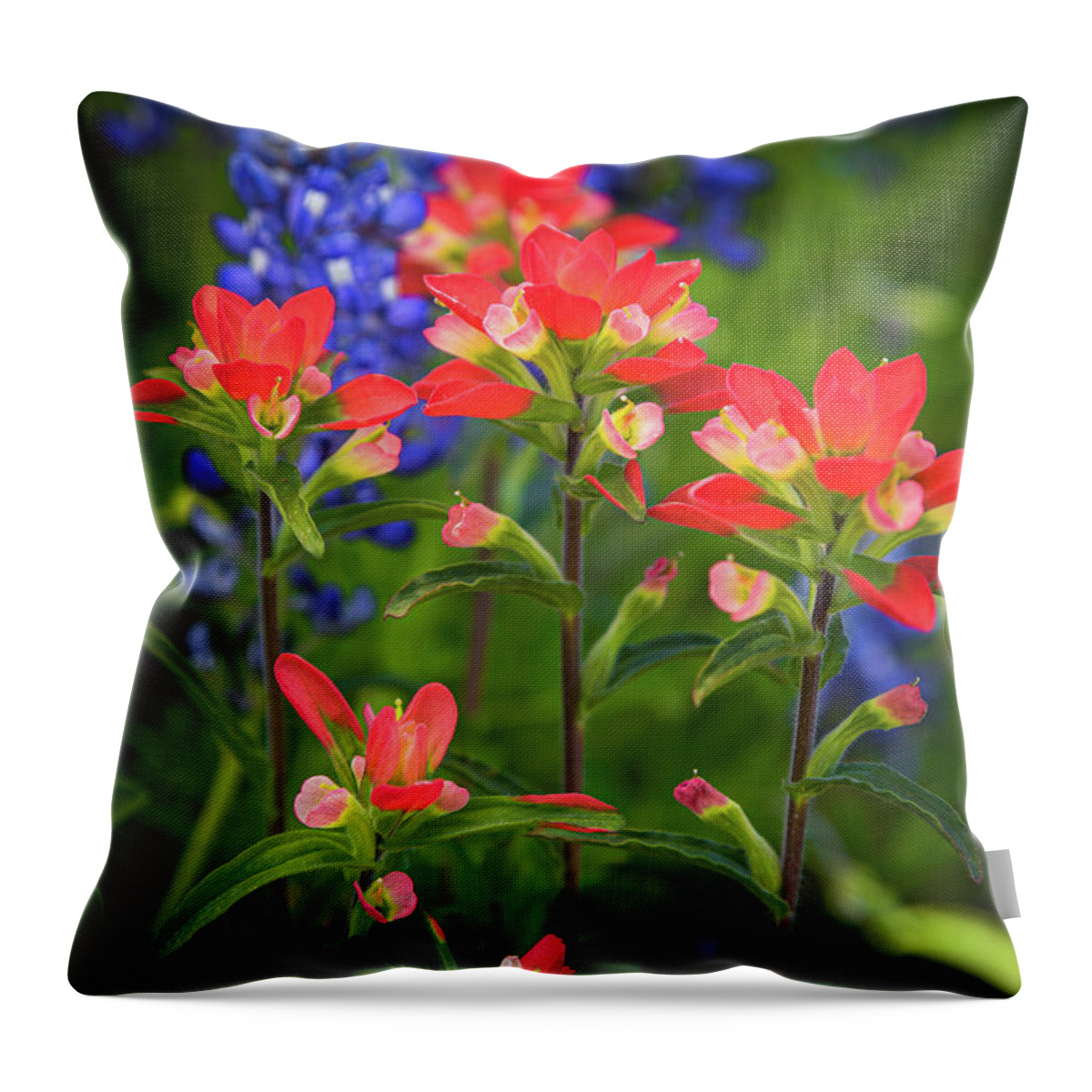 America Throw Pillow featuring the photograph Lone Star Blooms by Inge Johnsson