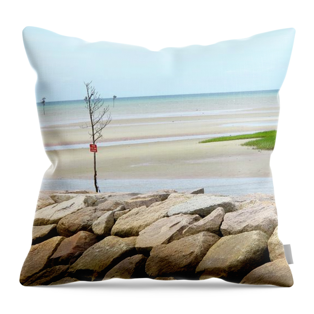 Cape Cod Beach Throw Pillow featuring the photograph Lone Tree On Beac by Sue Morris