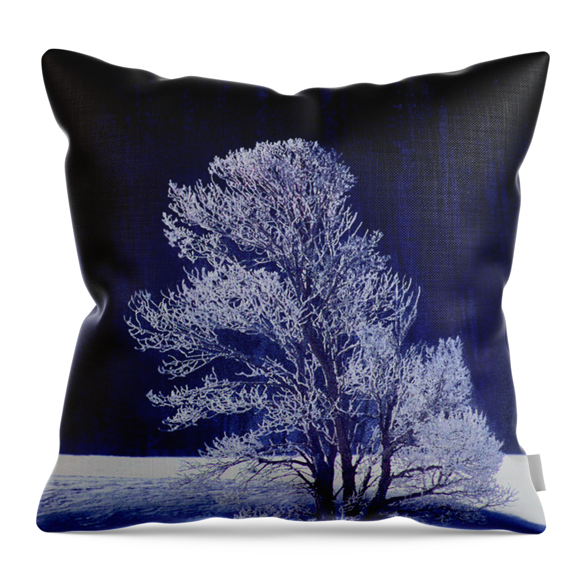 Dave Welling Throw Pillow featuring the photograph Lonely Rime Ice Covered Tree Yellowstone National Park by Dave Welling