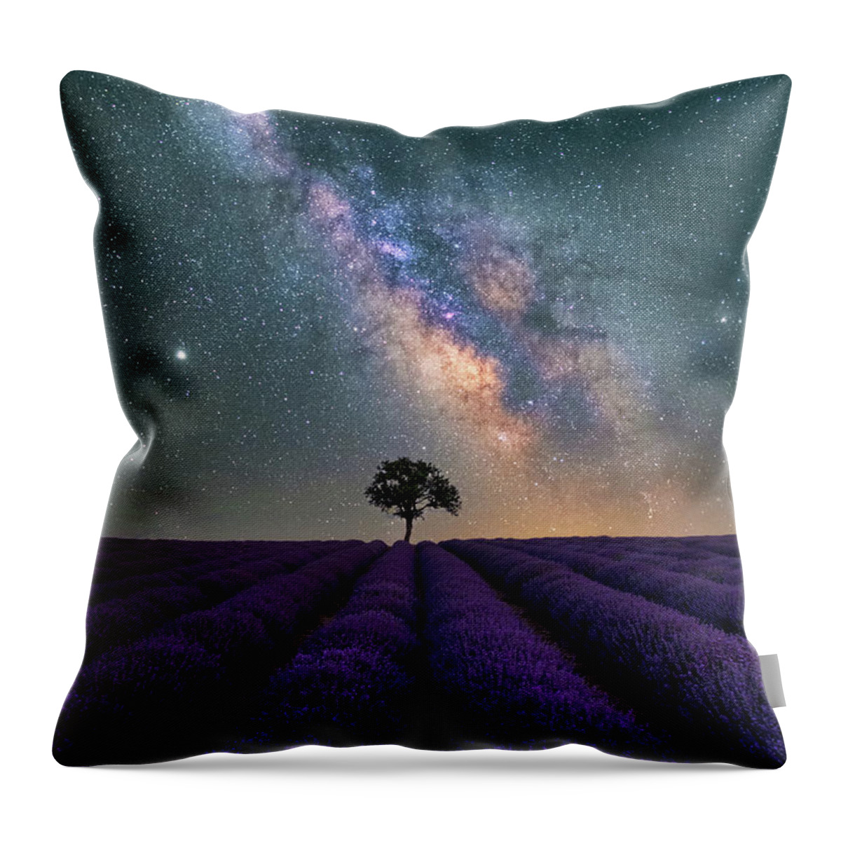 Lavender Throw Pillow featuring the photograph Lonely Tree in a Lavender Field under the Milky Way by Alexios Ntounas