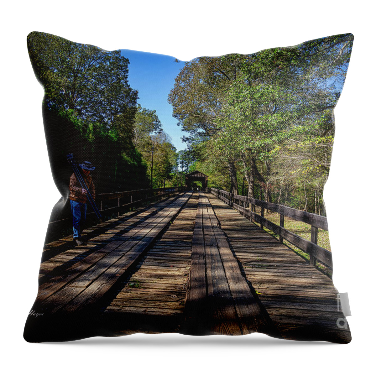 Bridges Throw Pillow featuring the photograph Long Bridge Running by DB Hayes
