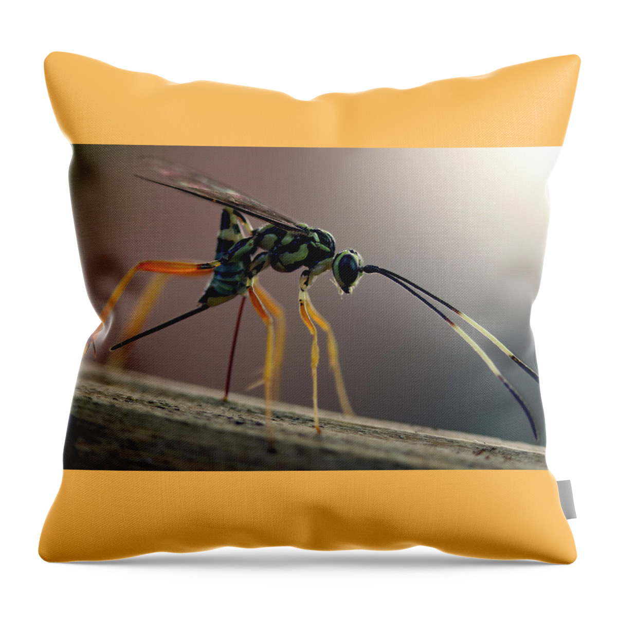 Insects Throw Pillow featuring the photograph Long Legged Alien by Jennifer Robin