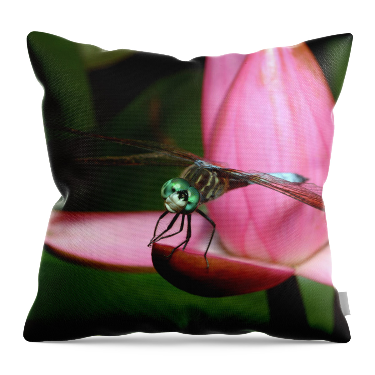 Dragonfly Throw Pillow featuring the photograph Look of a Dragonfly by Melissa Southern