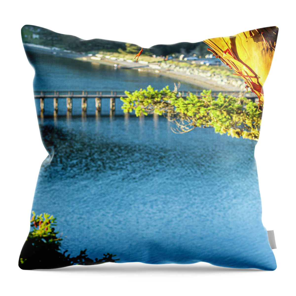 Landscape Throw Pillow featuring the photograph Looking Back To Bowman Bay by Tony Locke